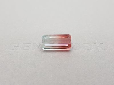 Octagon-cut polychrome tourmaline 8.80 ct photo