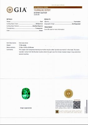 Certificate Grande tourmaline verte fluo Paraiba 17,04 ct, Mozambique