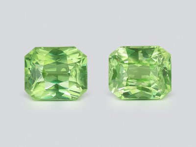 Une paire de grenats tsavorites taille radiant de 3,30 carats, Afrique photo