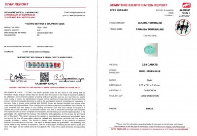 Certificate Neon Brazilian Paraiba tourmaline 2.93 ct, GFCO