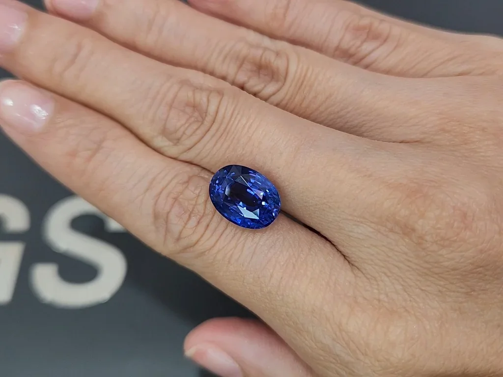 Saphir bleu royal taille ovale non chauffé 9,01 carats, Sri Lanka Image №2