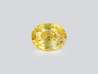 Gelber saphir Vivid Yelow im ovalschliff 1,73 karat, Sri Lanka photo