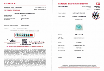 Certificate Brazilian Paraiba tourmaline, sugar loaf cut 5.98 ct