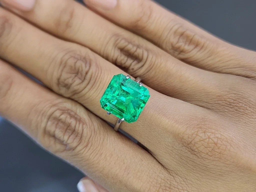 Emerald Mariposa octagon cut 8.41 carats, Colombia Image №5