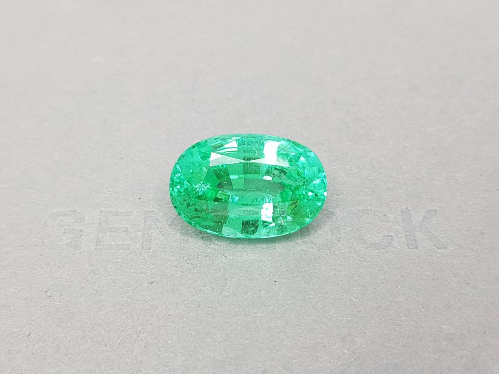 Neon green Paraiba oval cut 16.28 ct Image №1