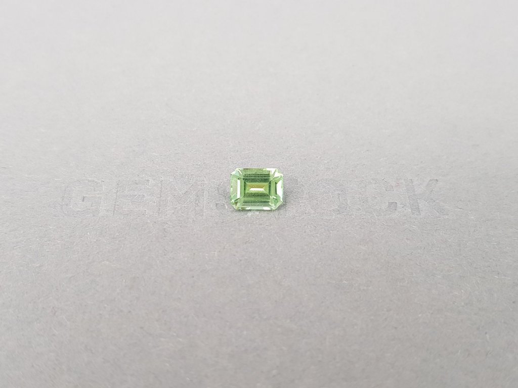 Light green octagon-cut tourmaline 1.02 carats, Nigeria Image №1