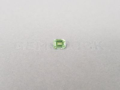 Light green octagon-cut tourmaline 1.02 carats, Nigeria photo