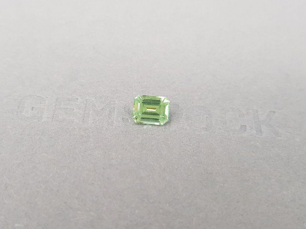 Light green octagon-cut tourmaline 1.02 carats, Nigeria Image №3