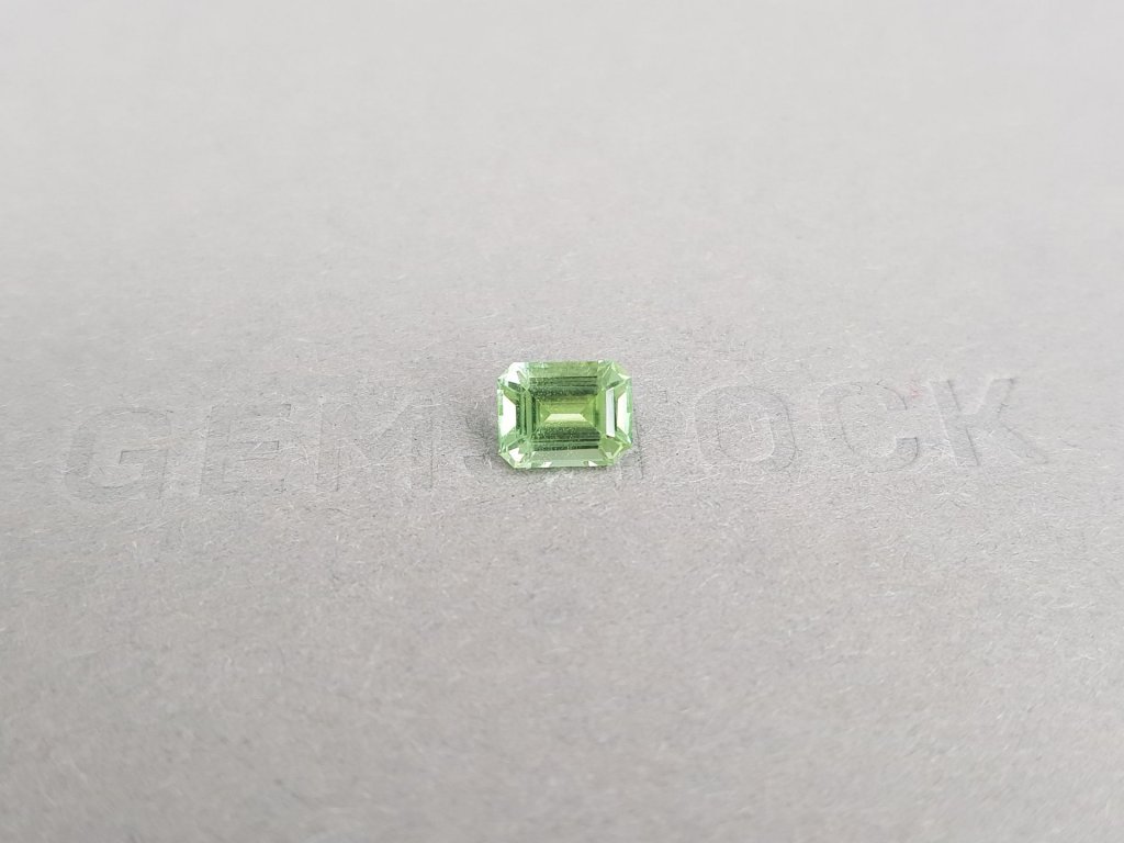 Light green octagon-cut tourmaline 1.02 carats, Nigeria Image №2