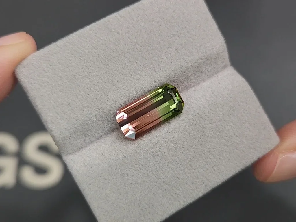 Tourmaline rose-vert polychrome &quot;pastèque&quot;, taille octogonale 4,53 carats, Afrique Image №4