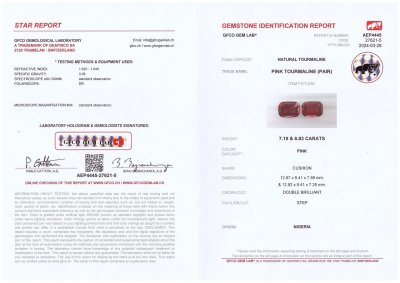 Certificate Par de turmalinas rubelitas de 14,02 quilates procedentes de Nigeria, talla cojín