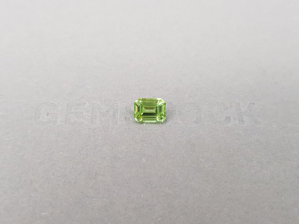 Light green tourmaline in octagon cut 1.10 carats Image №1