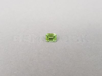 Light green tourmaline in octagon cut 1.10 carats photo