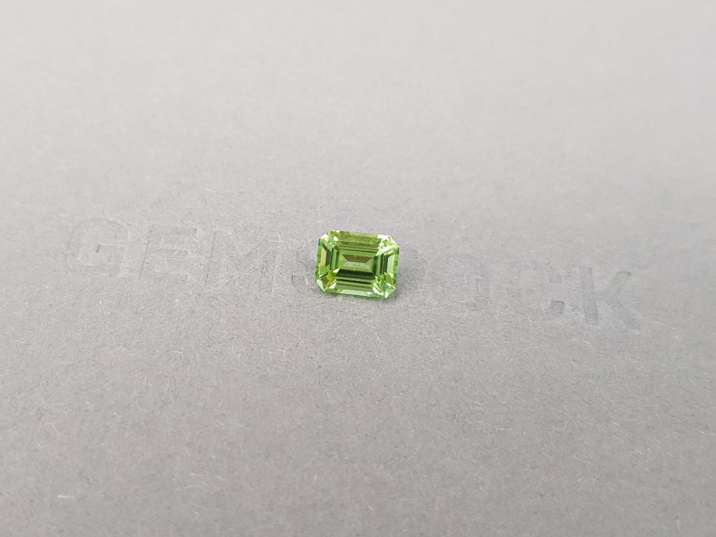 Light green tourmaline in octagon cut 1.10 carats Image №3