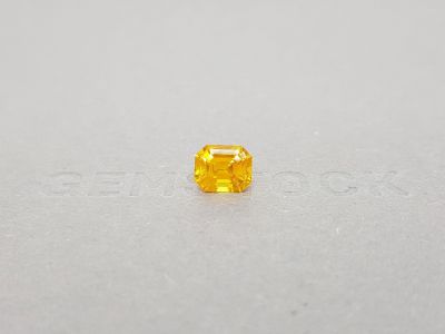 Honey yellow octagon sapphire 2.58 ct, Sri Lanka photo