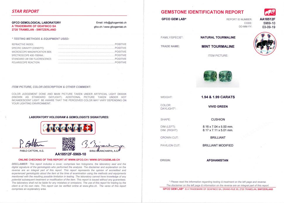 Certificate Pair of green verdelites 3.93 ct, GFCO