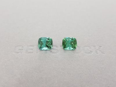 Pair of green verdelites 3.93 ct, GFCO photo