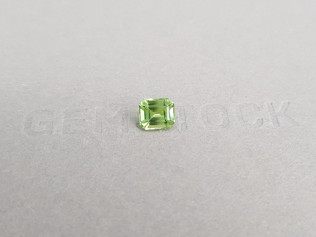 Green tourmaline 1.05 ct from Nigeria in octagon cut  Image №2