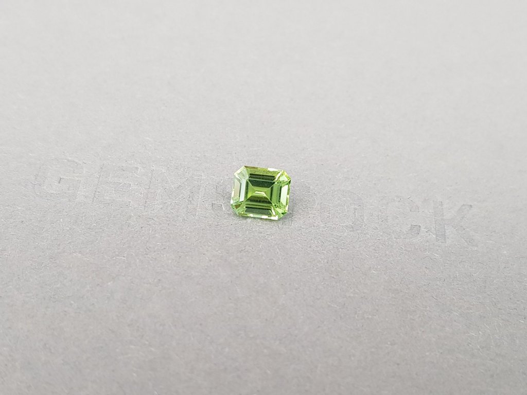 Green tourmaline 1.05 ct from Nigeria in octagon cut  Image №3