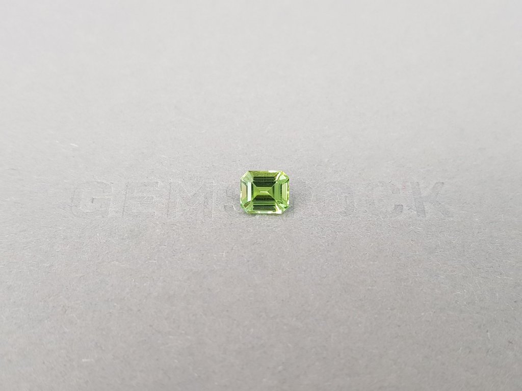 Green tourmaline 1.05 ct from Nigeria in octagon cut  Image №1