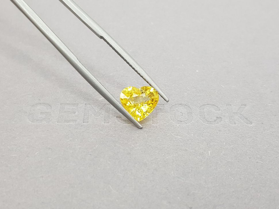 Yellow sapphire in rare cut heart 2.68 ct, Sri Lanka Image №4