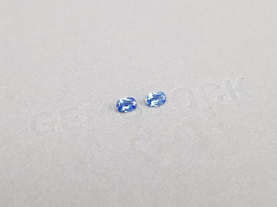 Pair of oval cut Cornflower Blue sapphires 0.53 ct, Sri Lanka Image №2