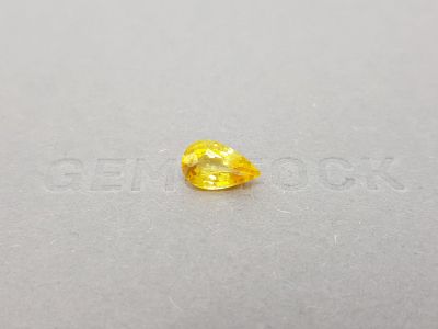 Intense pear-cut yellow sapphire 2.50 ct, Sri Lanka photo