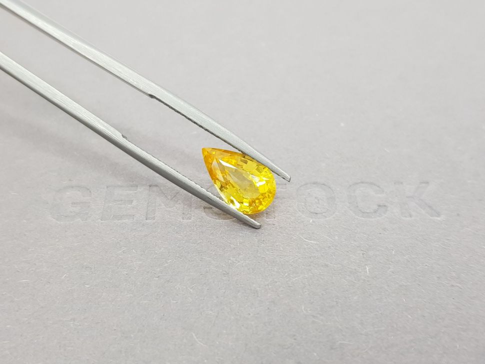 Intense pear cut yellow sapphire 2.50 ct, Sri Lanka Image №4