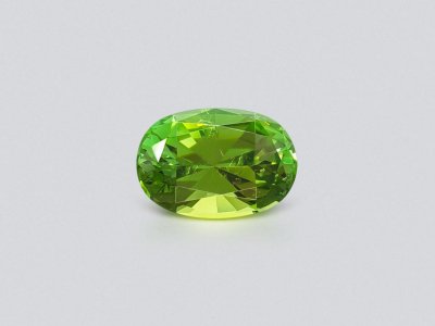 Verdelite taille ovale 6,69 ct photo