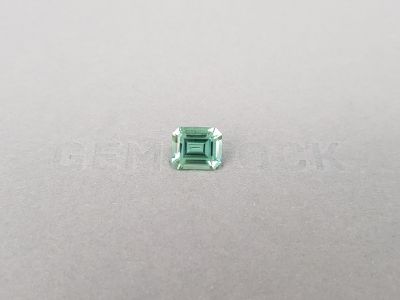Mint green tourmaline 2.12 carats in emerald cut, Nigeria photo