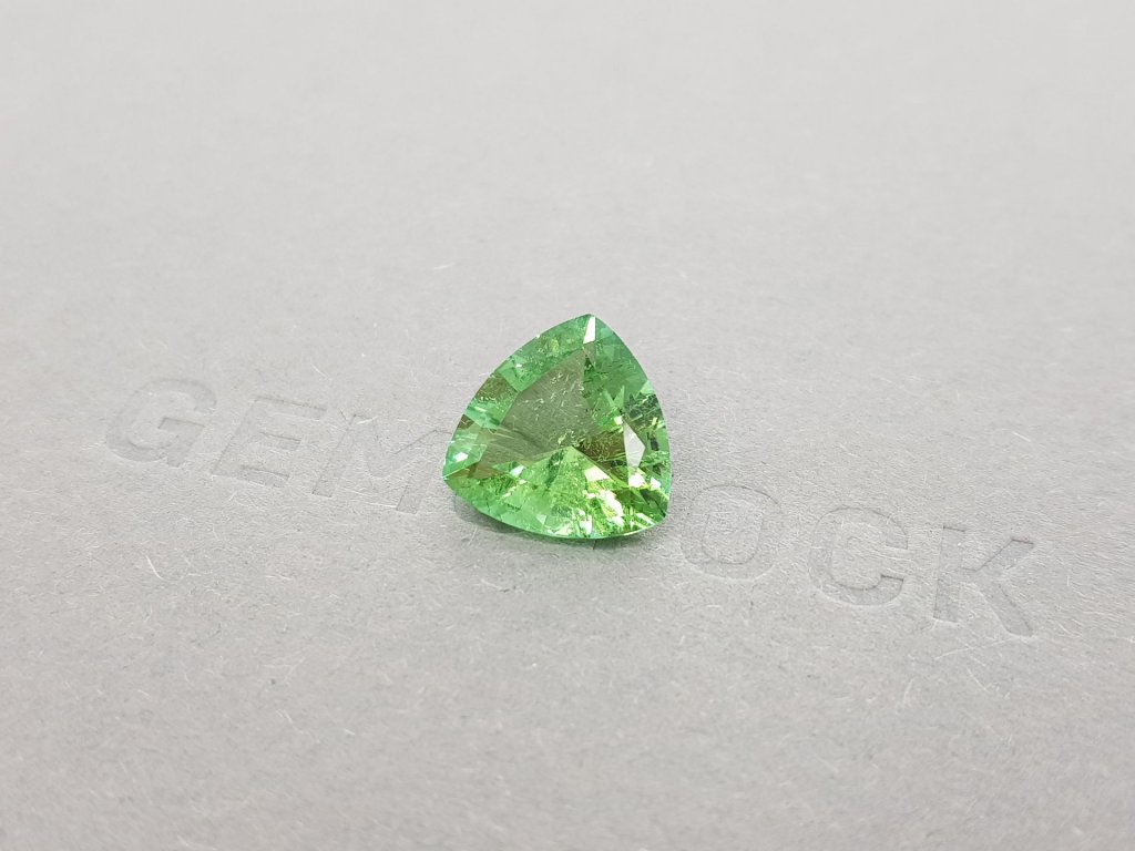 Trillion cut tourmaline 4.36 carats Image №3