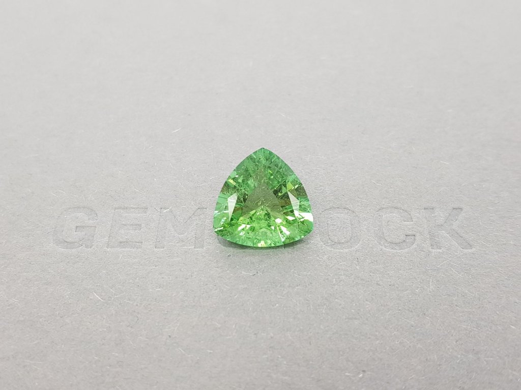 Trillion cut tourmaline 4.36 carats Image №1