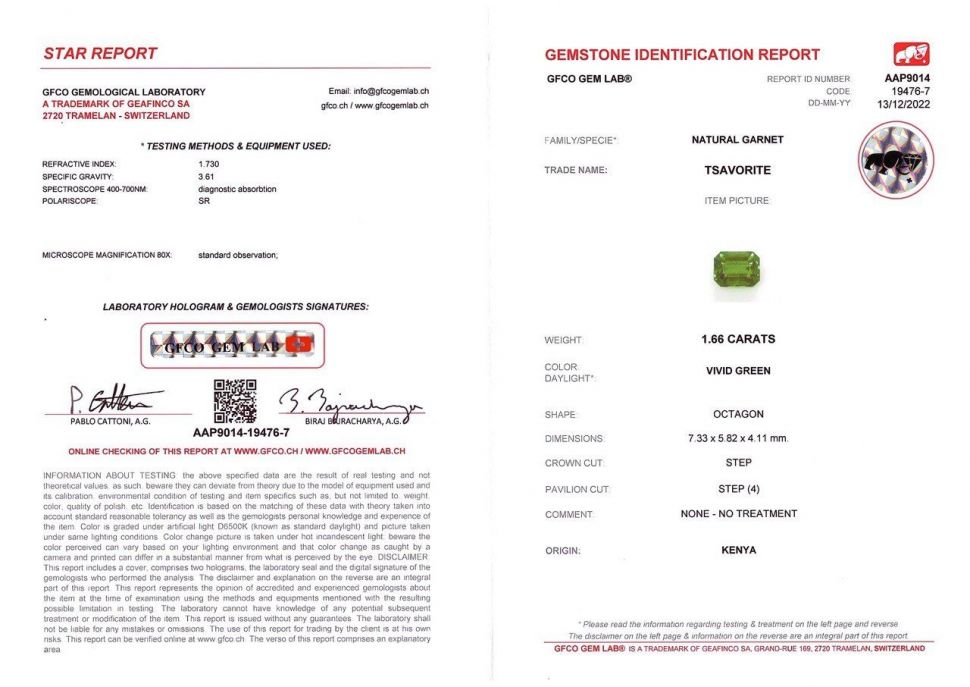 Certificate Octagon-cut tsavorite garnet from Kenya 1.66 ct