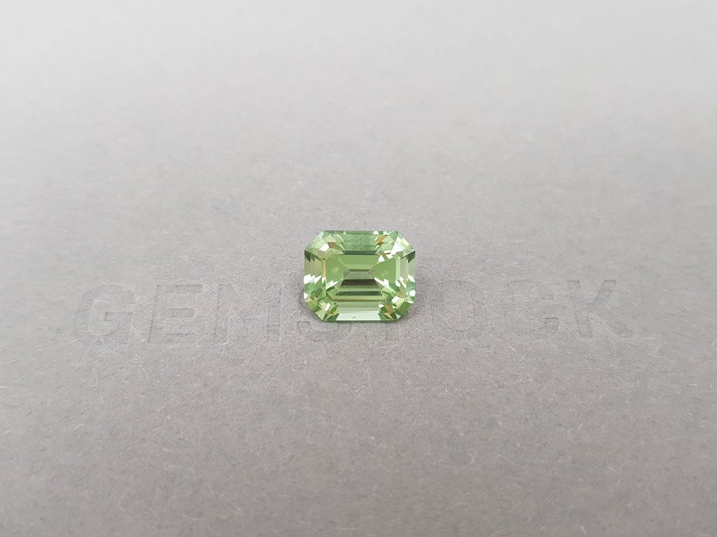 Burmese mint green tourmaline in octagon shape 3.34 ct Image №1