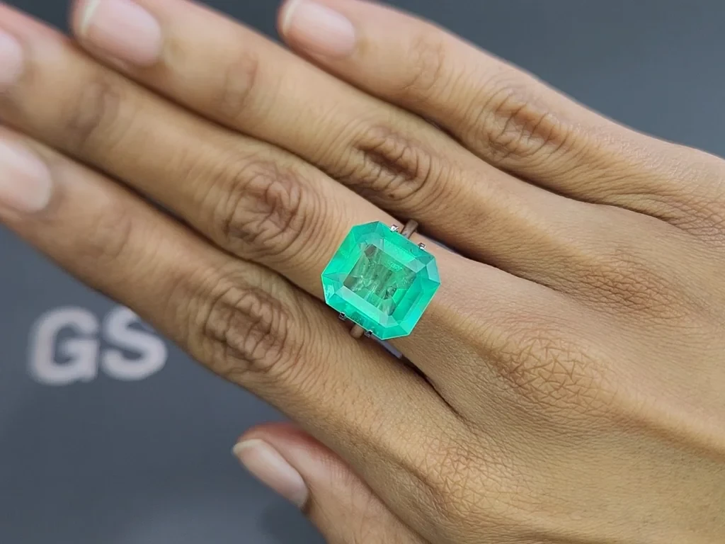 Emerald octagon cut 9.50 carats, Colombia Image №5