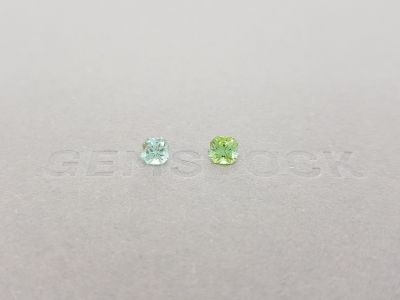 Contrasting pair of radiant-cut tourmalines 0.85 ct photo