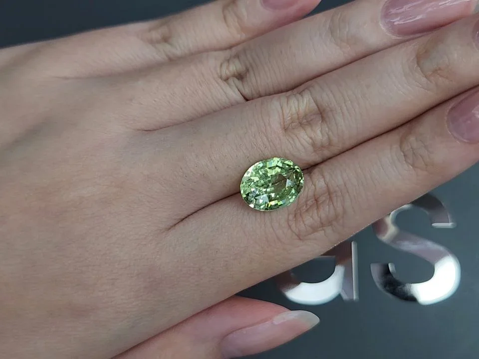 Granate grossular verde talla ovalada 5,71 quilates, Tanzania  Image №2