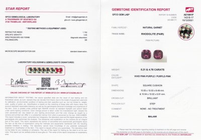 Certificate Paire de rares grenats de rhodolite taille coussin du Malawi 9,99 ct