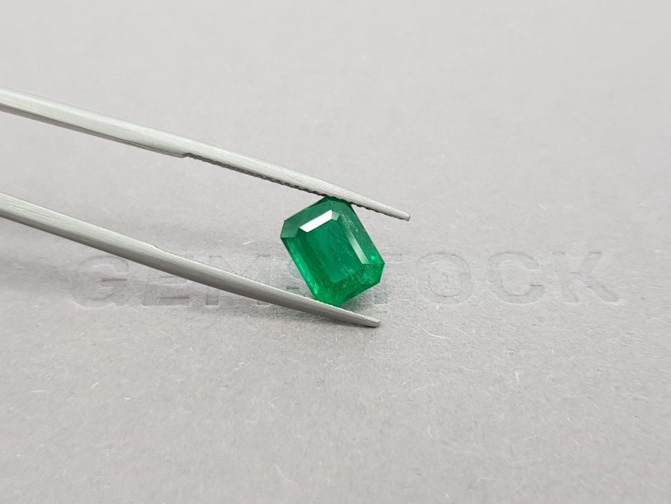 Octagon cut Zambian emerald 2.68 ct Image №4