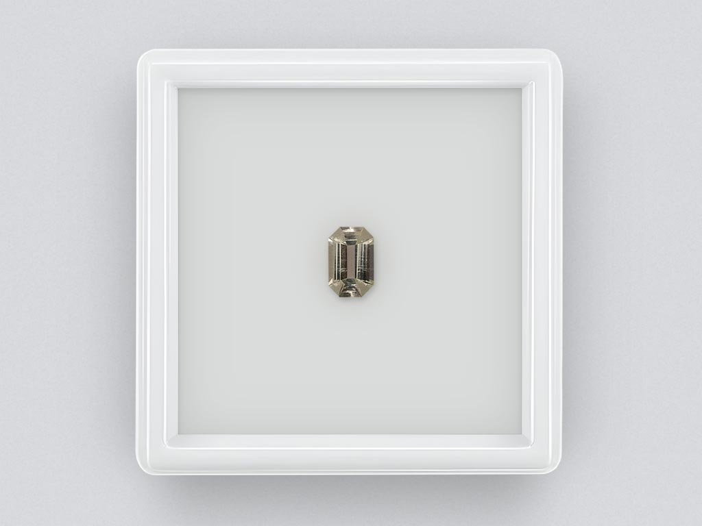 Grüner prasiolith (Grüner Quarz) präzisionsschliff achteck 0,62 karats, Afrika Image №1