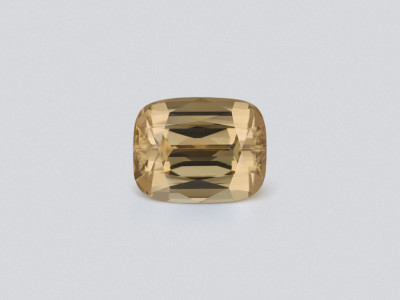 Gran circón de talla cojín con un peso de 32,06 quilates, Tanzania photo