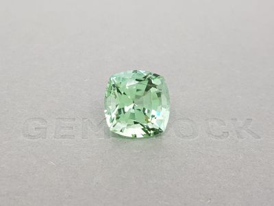Large light green tourmaline from Mozambique 12.69 ct photo