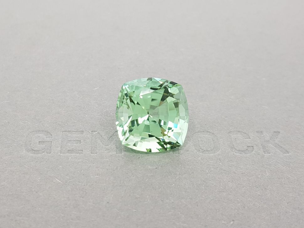 Large light green tourmaline from Mozambique 12.69 ct Image №1