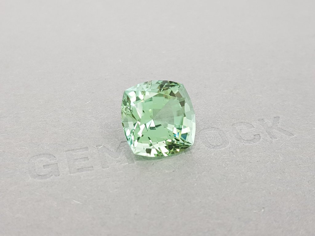 Large light green tourmaline from Mozambique 12.69 ct Image №3