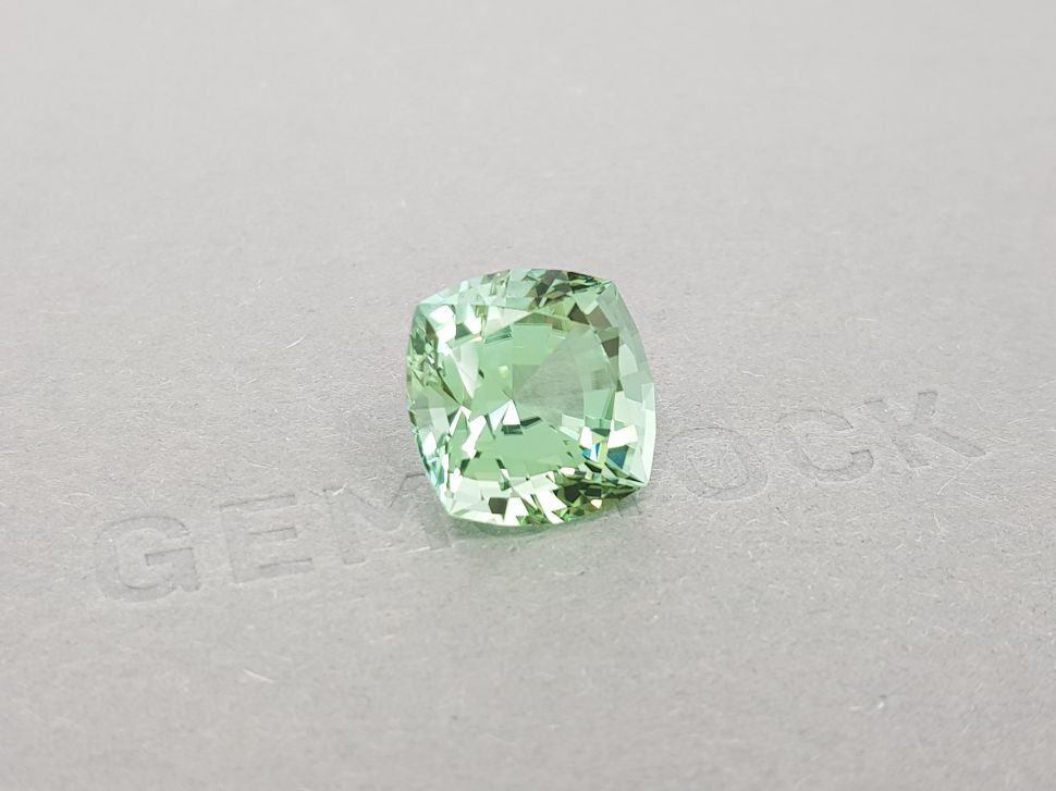 Large light green tourmaline from Mozambique 12.69 ct Image №3