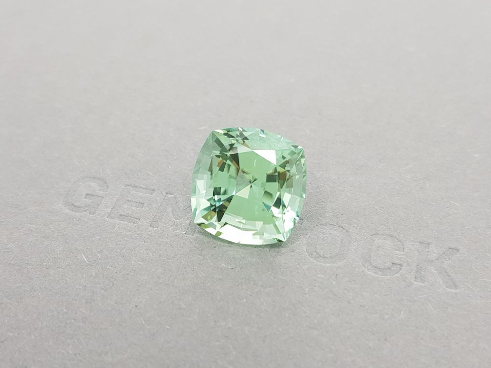 Large light green tourmaline from Mozambique 12.69 ct Image №2