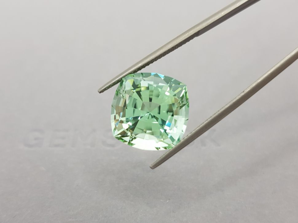 Large light green tourmaline from Mozambique 12.69 ct Image №4