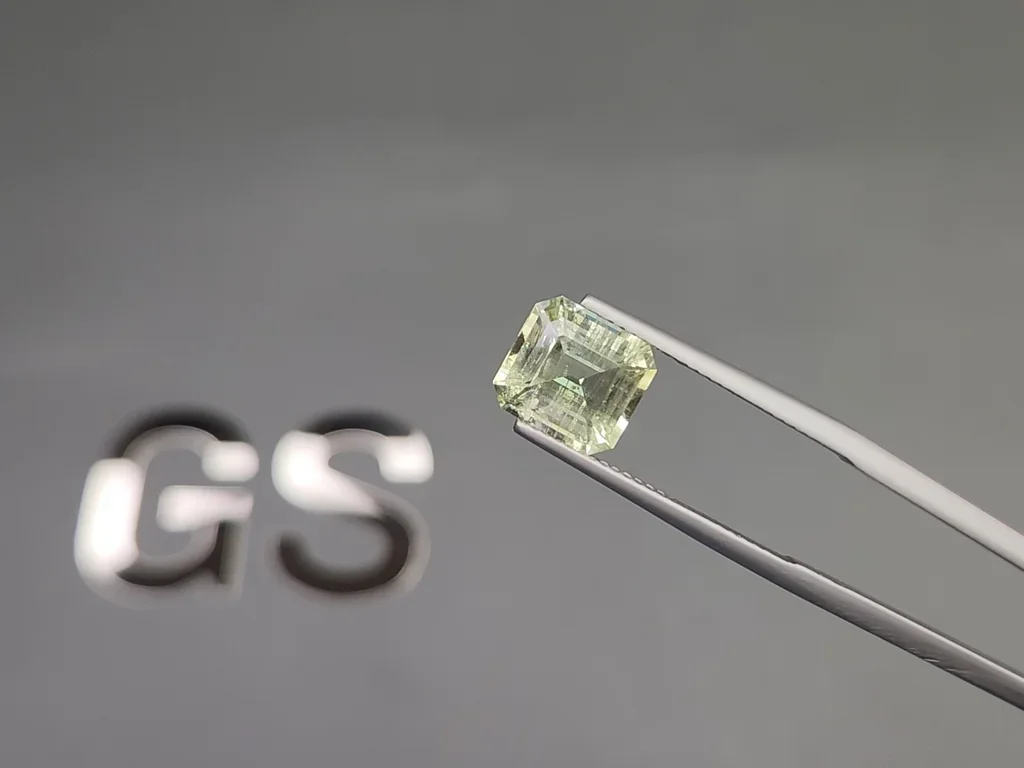 Prasiolite (green quartz) in high precision cut octagon 2.77 carats, Africa Image №3