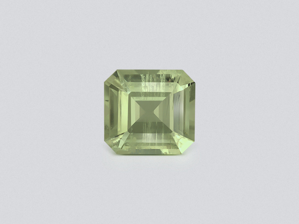 Prasiolite (green quartz) in high precision cut octagon 2.77 carats, Africa Image №1
