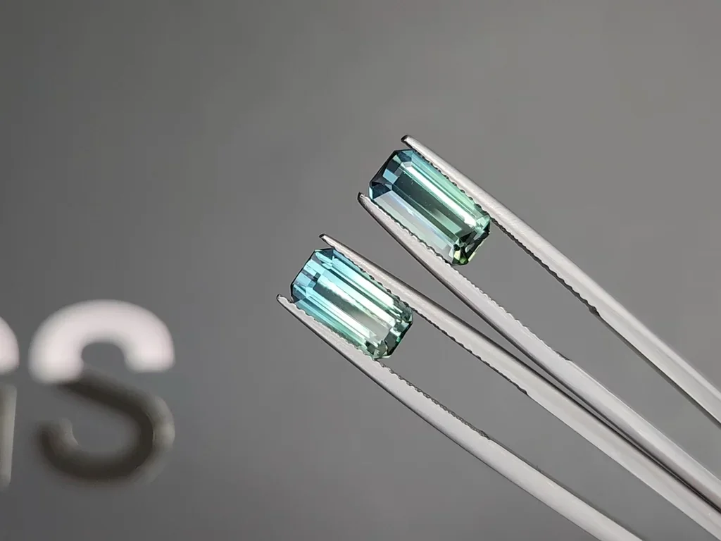 Paar zweifarbige turmaline im achteckschliff, 3,99 carats, Afghanistan Image №3